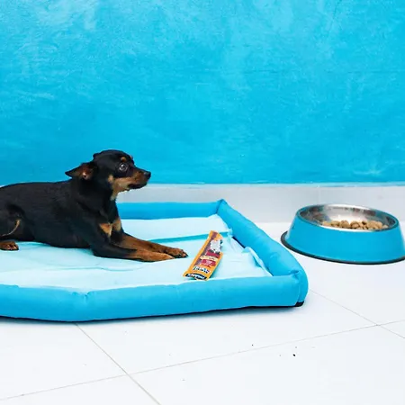 Experience Hotel - Blueden - Calabria Oltre Il Mare