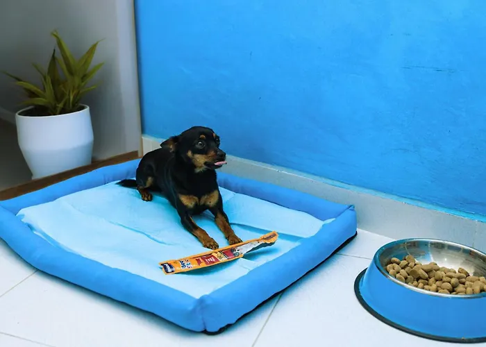 Experience Hotel - Blueden - Calabria Oltre Il Mare מלון 3*