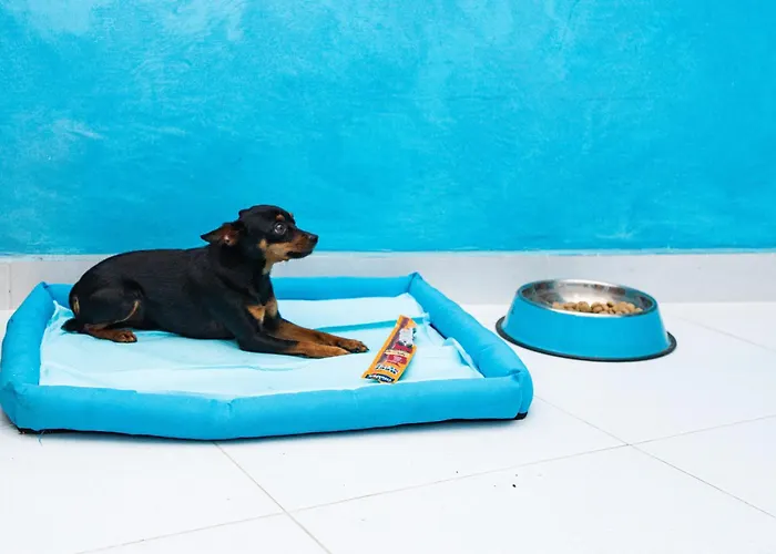 Experience Hotel - Blueden - Calabria Oltre Il Mare